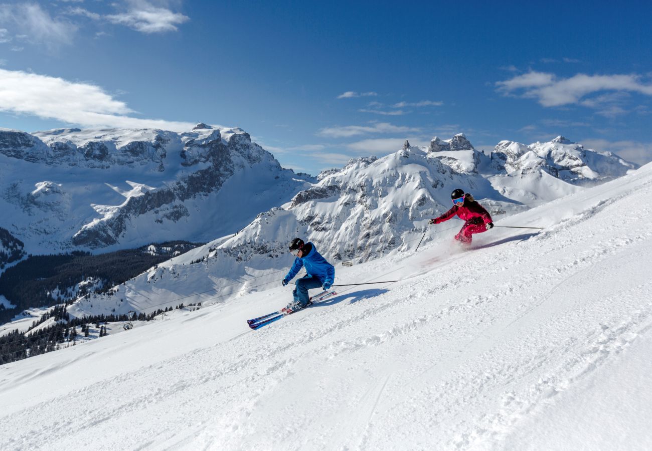 Apartment in Schruns - Alpenblick Appartements - Studio