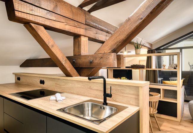 Münsterhaus Master-Apartment with kitchen