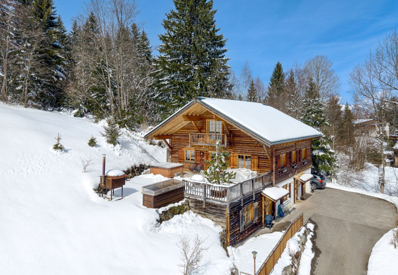 Apartment in Bürserberg - Chalet Tschengla