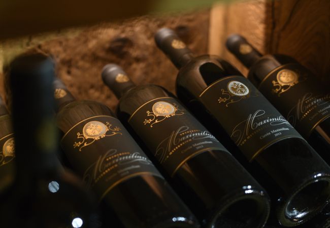 House in Tschagguns - Panorama Deluxe Mountain Hideaway House House in Tschagguns - Panorama Deluxe Mountain Hideaway House