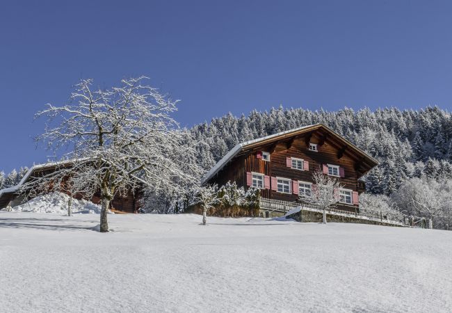 House in Schruns - Vintage Mountain House with Sauna House in Schruns - Vintage Mountain House with Sauna