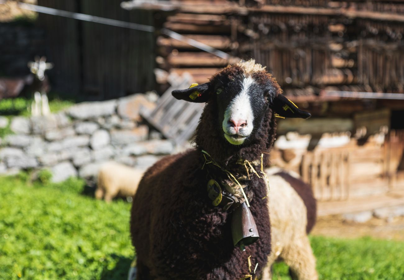 House in St. Gallenkirch - Haus Galgenul