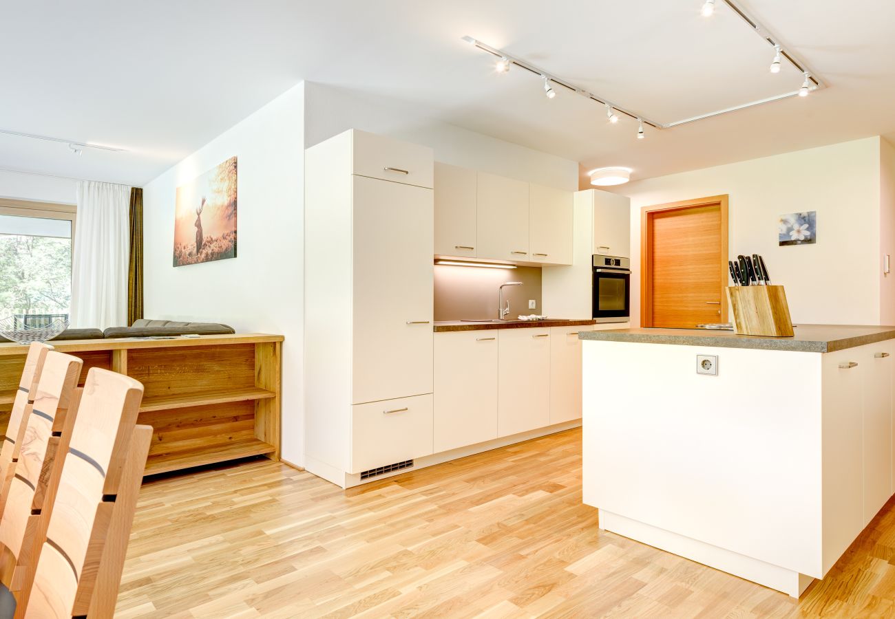 Apartment in Brand - Alvier Lodge