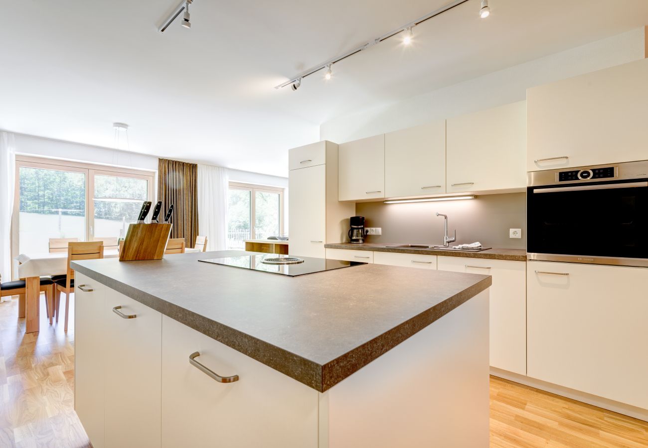 Apartment in Brand - Alvier Lodge