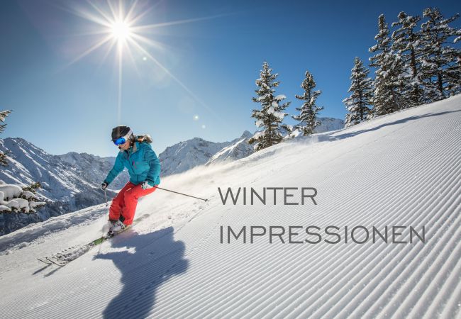 Appartement in Brand - Appartement Scesaplana Appartement in Brand - Appartement Scesaplana