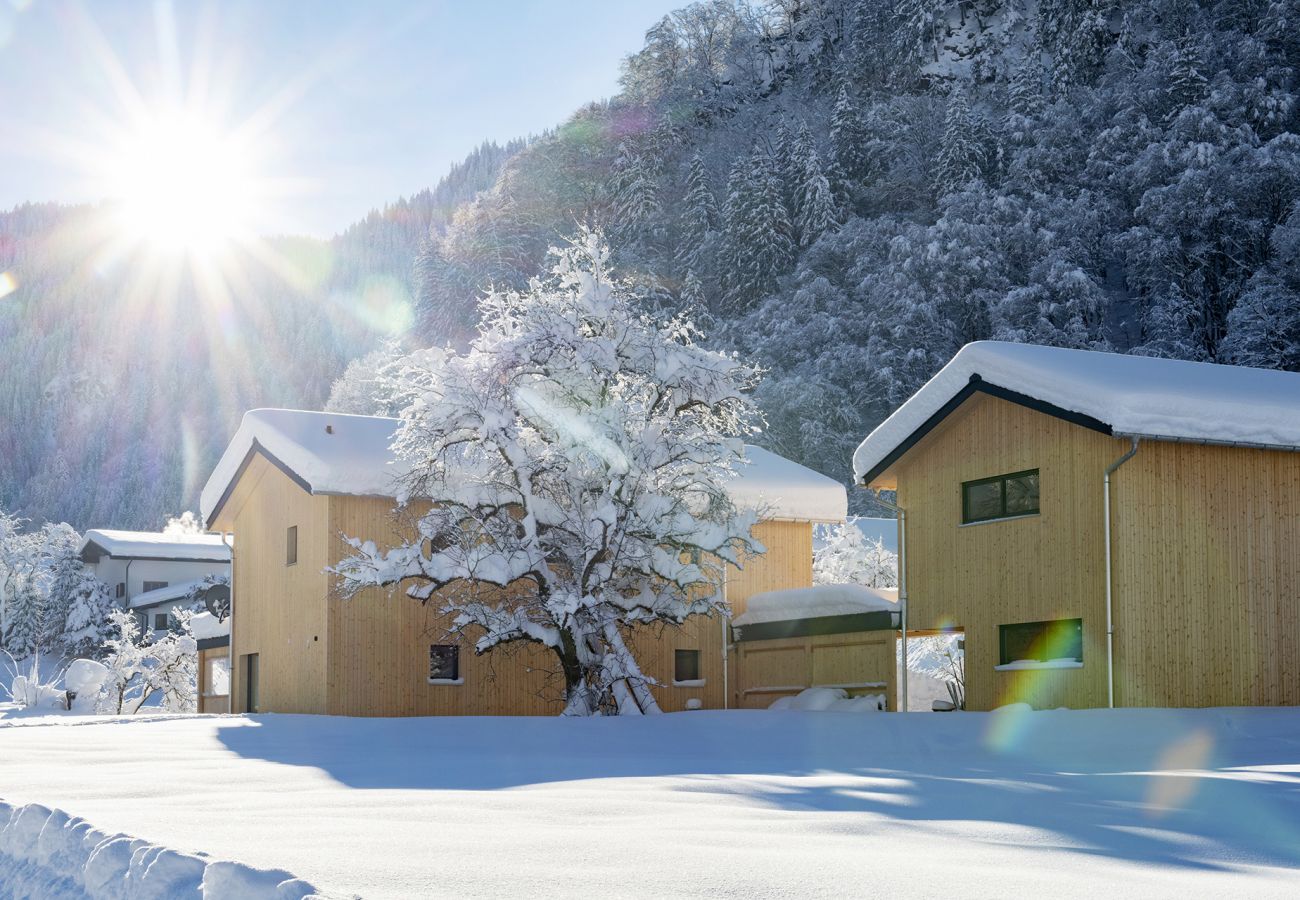 Huis in St. Gallenkirch - Haus Valtellina