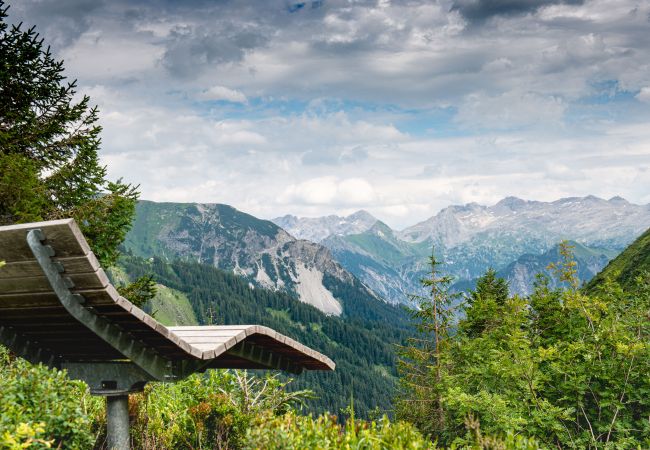 Huis in Schnepfau - Alp Hütte Bregenzerwald Huis in Schnepfau - Alp Hütte Bregenzerwald