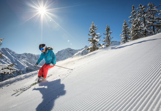 Appartement in Brand - Studa 29 - Studa 7 Appartement in Brand - Studa 29 - Studa 7