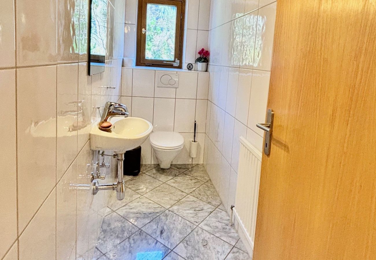 Appartement in St. Gallenkirch - Appartement Borealis