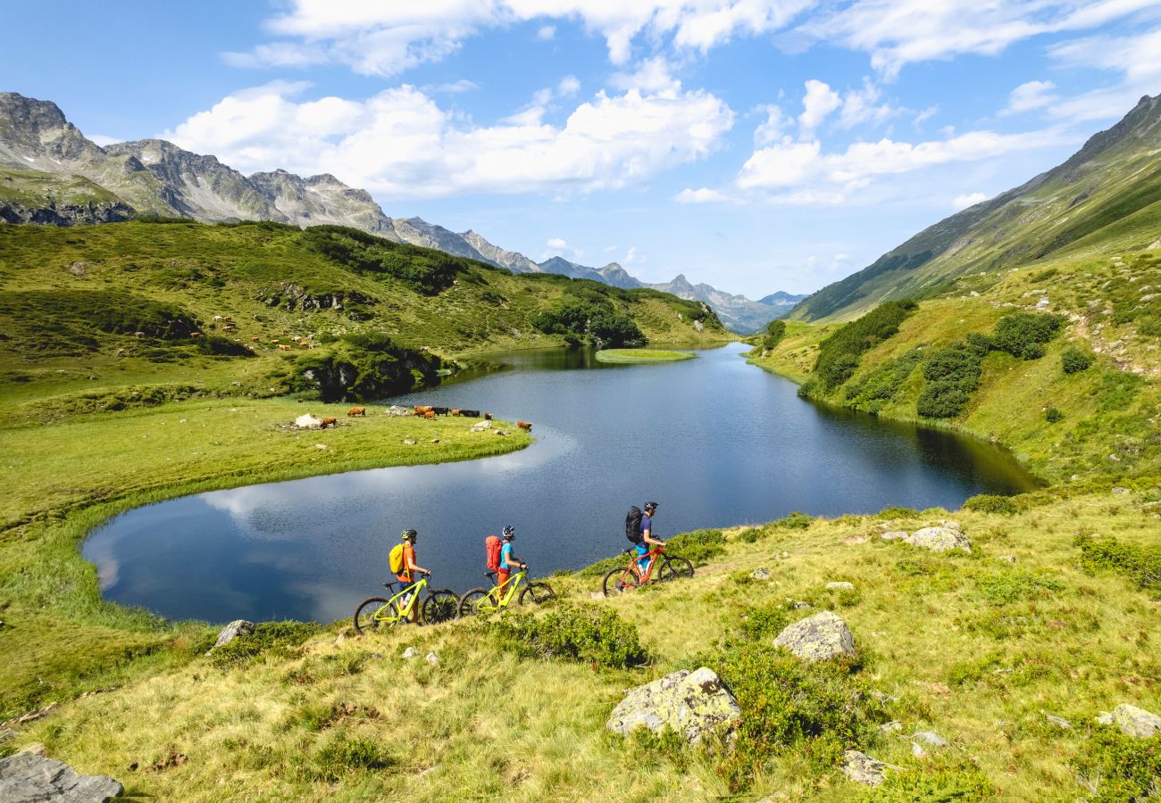 Huis in St. Gallenkirch - Haus Galgenul