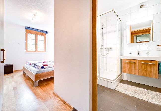 Ferienwohnung in Brand - Gartenferienwohnung Ski In Ferienwohnung in Brand - Gartenferienwohnung Ski In