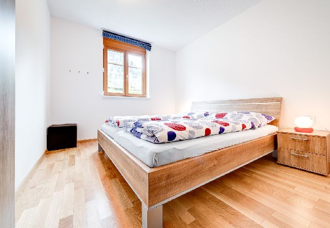 Ferienwohnung in Brand - Gartenferienwohnung Ski In Ferienwohnung in Brand - Gartenferienwohnung Ski In