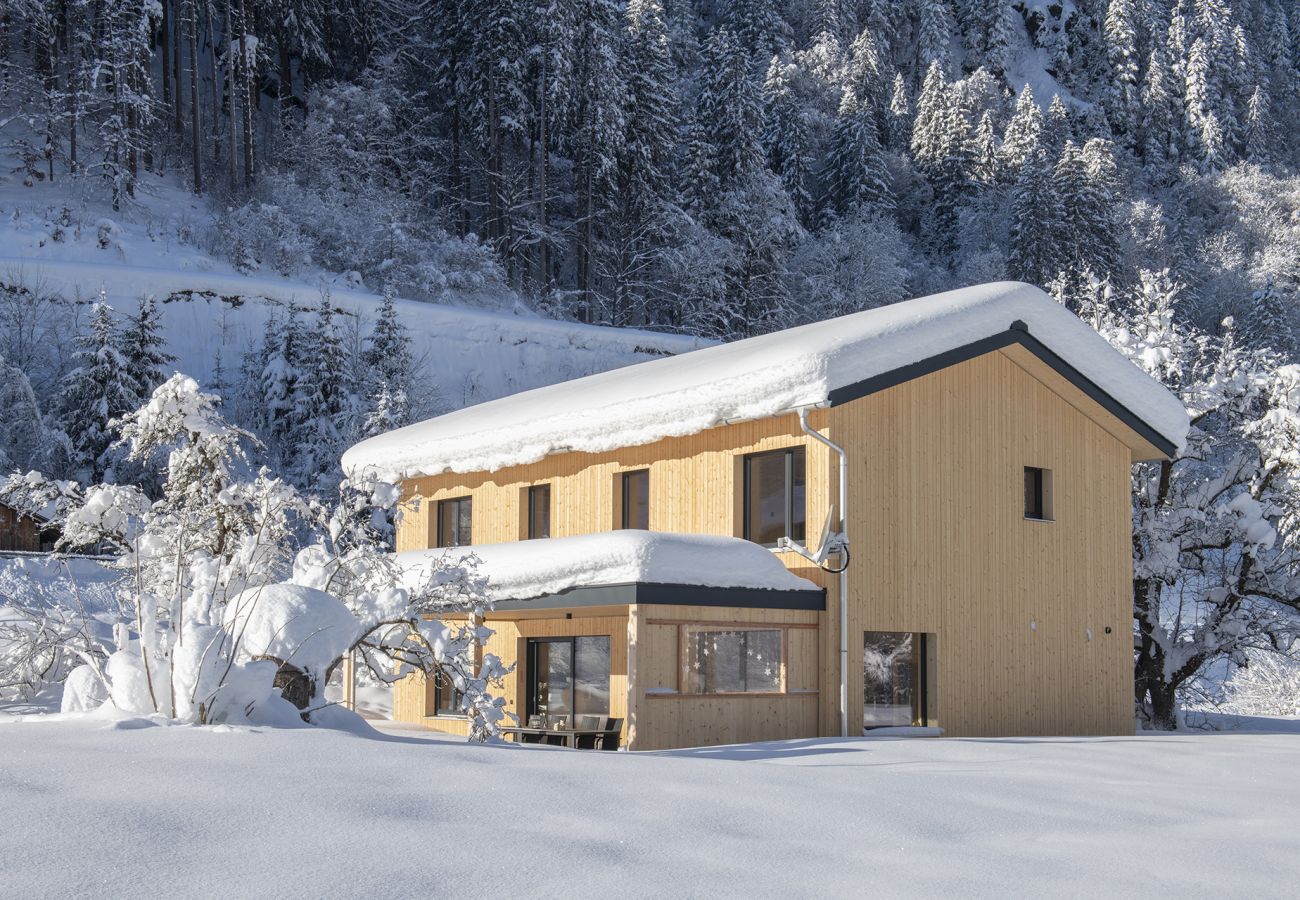 Ferienhaus in St. Gallenkirch - Haus Valtellina