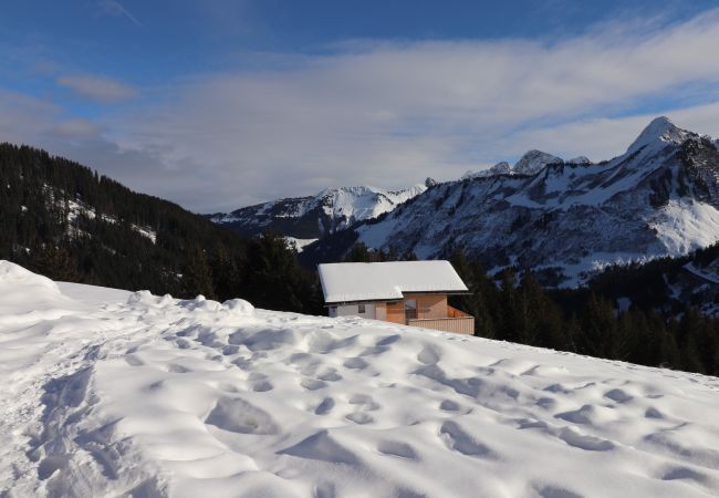 Ferienhaus in Damüls - Haus Hämmerle mit Ski in - Ski out