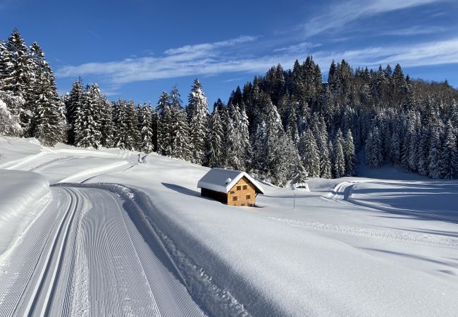 Ferienwohnung in Bürserberg - Chalet Tschengla Ferienwohnung in Bürserberg - Chalet Tschengla