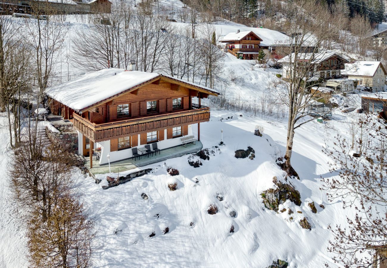 Ferienhaus in Brand - Panorama Ferienhaus Zentral
