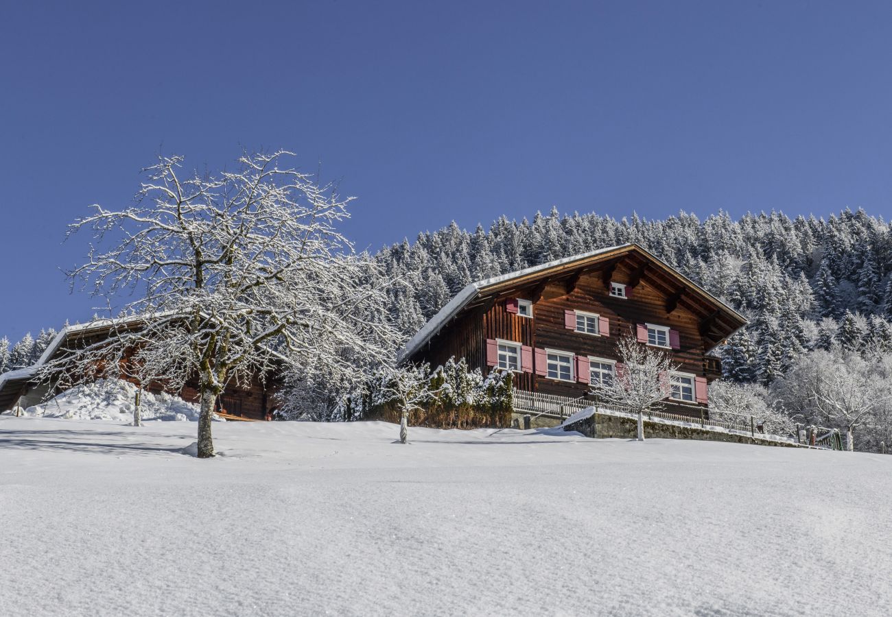 Blockhütte in Schruns - Vintage Mountain House with Sauna