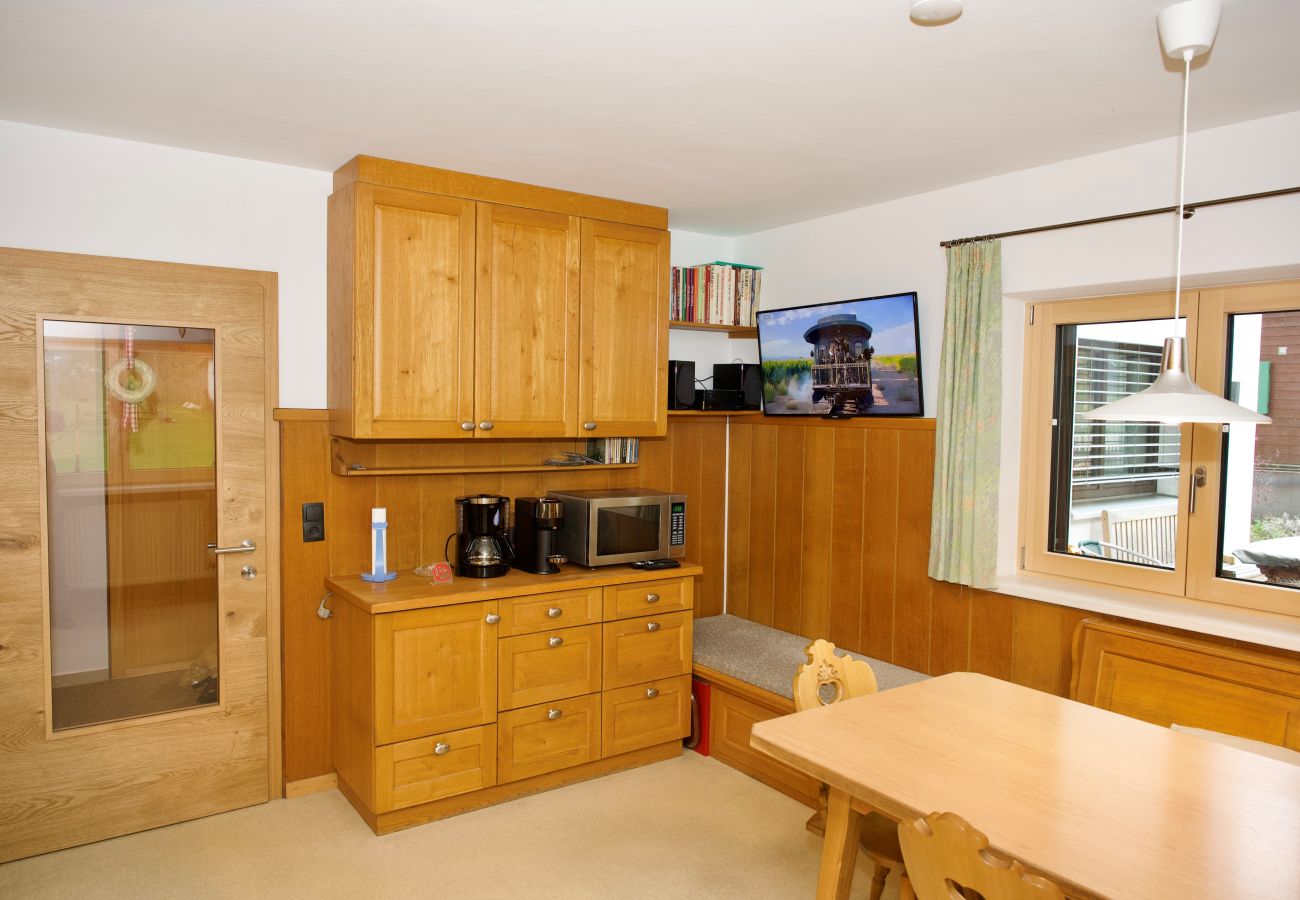 Ferienwohnung in St. Gallenkirch - Appartement Borealis