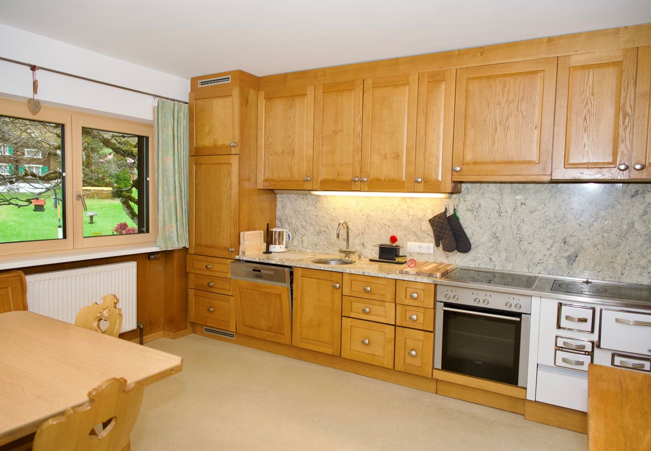 Ferienwohnung in St. Gallenkirch - Appartement Borealis