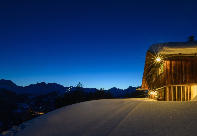 Ferienhaus in Bartholomäberg - Detached Timber Panorama Winter Mountain House