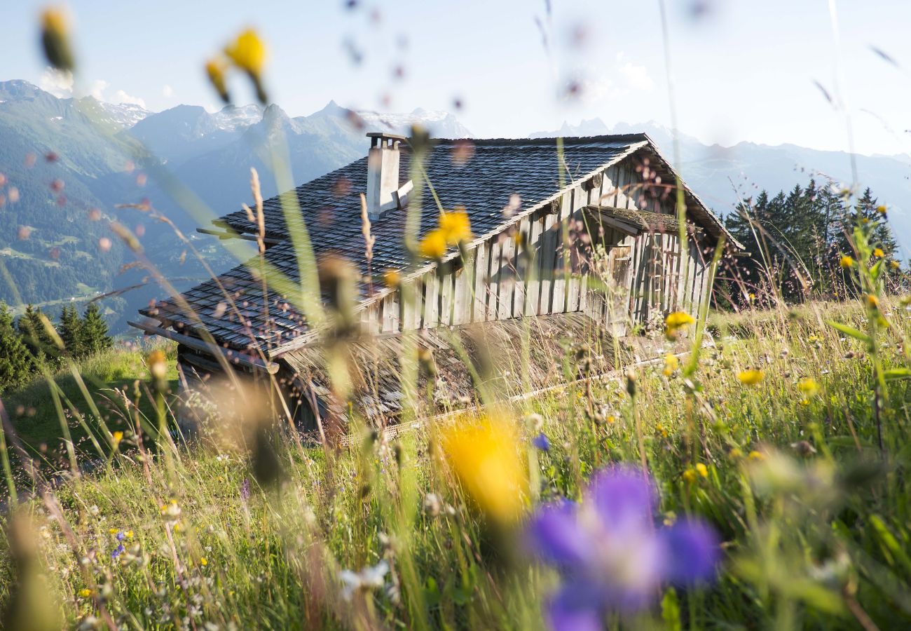 Ferienhaus in Bartholomäberg - Detached Timber Panorama Winter Mountain House